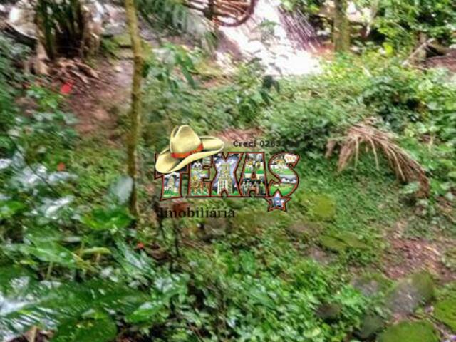 Chácara para Venda em Bom Jesus dos Perdões - 4