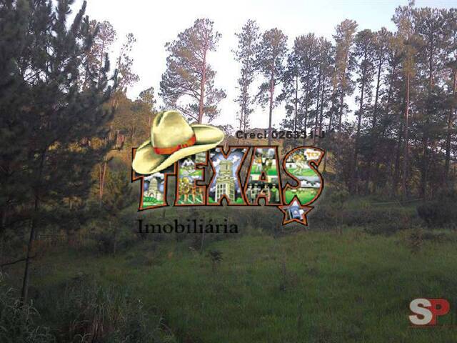 #4522 - Área para Venda em Atibaia - SP - 3