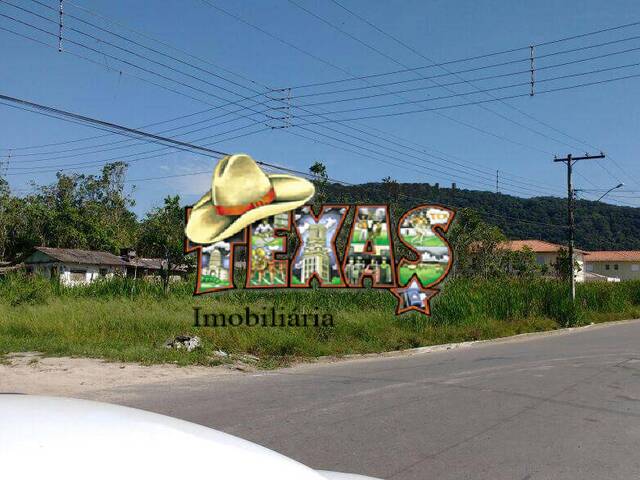 #4527 - Área para Venda em Mongaguá - SP - 1