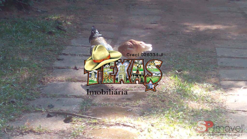 Sítio, 4 quartos, 8 hectares - Foto 2