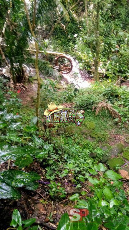 Sítio, 4 quartos, 8 hectares - Foto 4