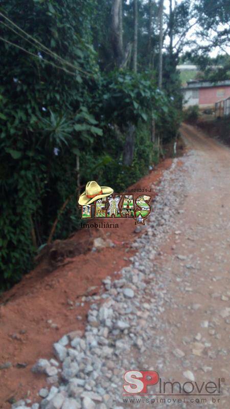 Sítio, 4 quartos, 8 hectares - Foto 5