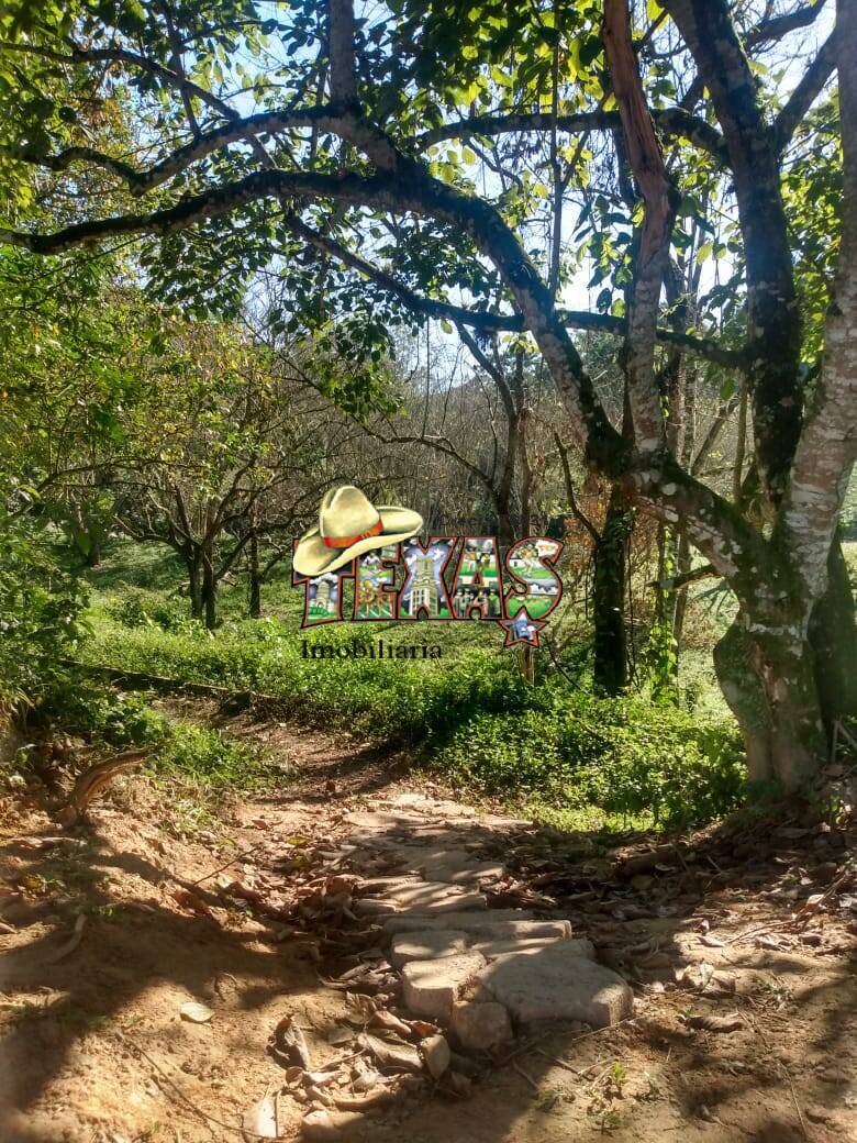 Casa, 2 quartos, 176 m² - Foto 34