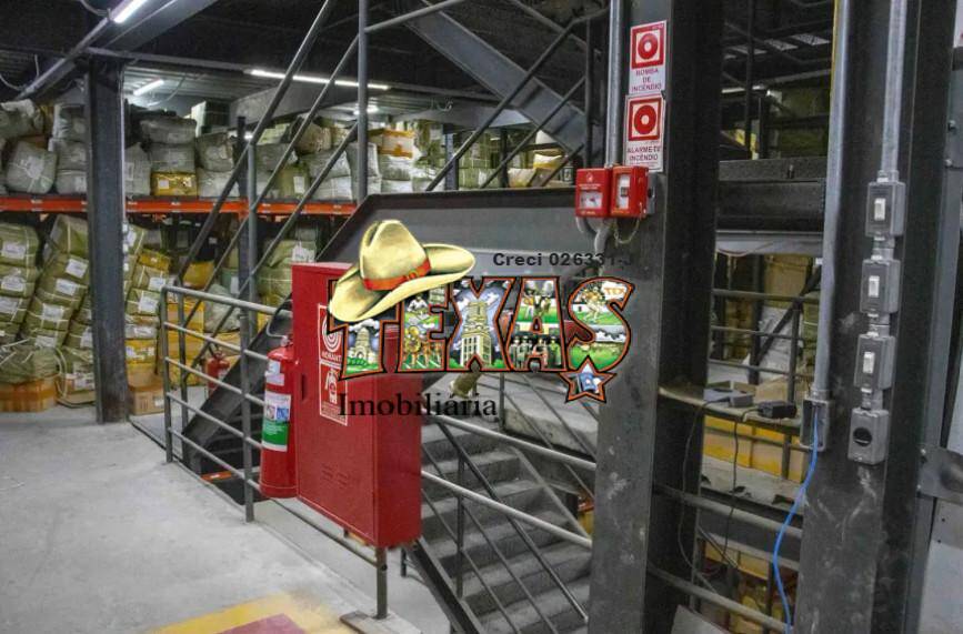 Terreno, 3800 m² - Foto 2