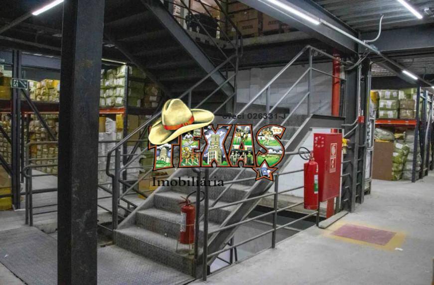 Terreno, 3800 m² - Foto 6