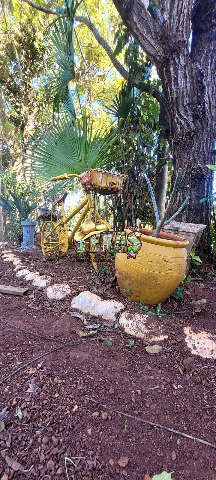 Terreno, 1000 m² - Foto 3