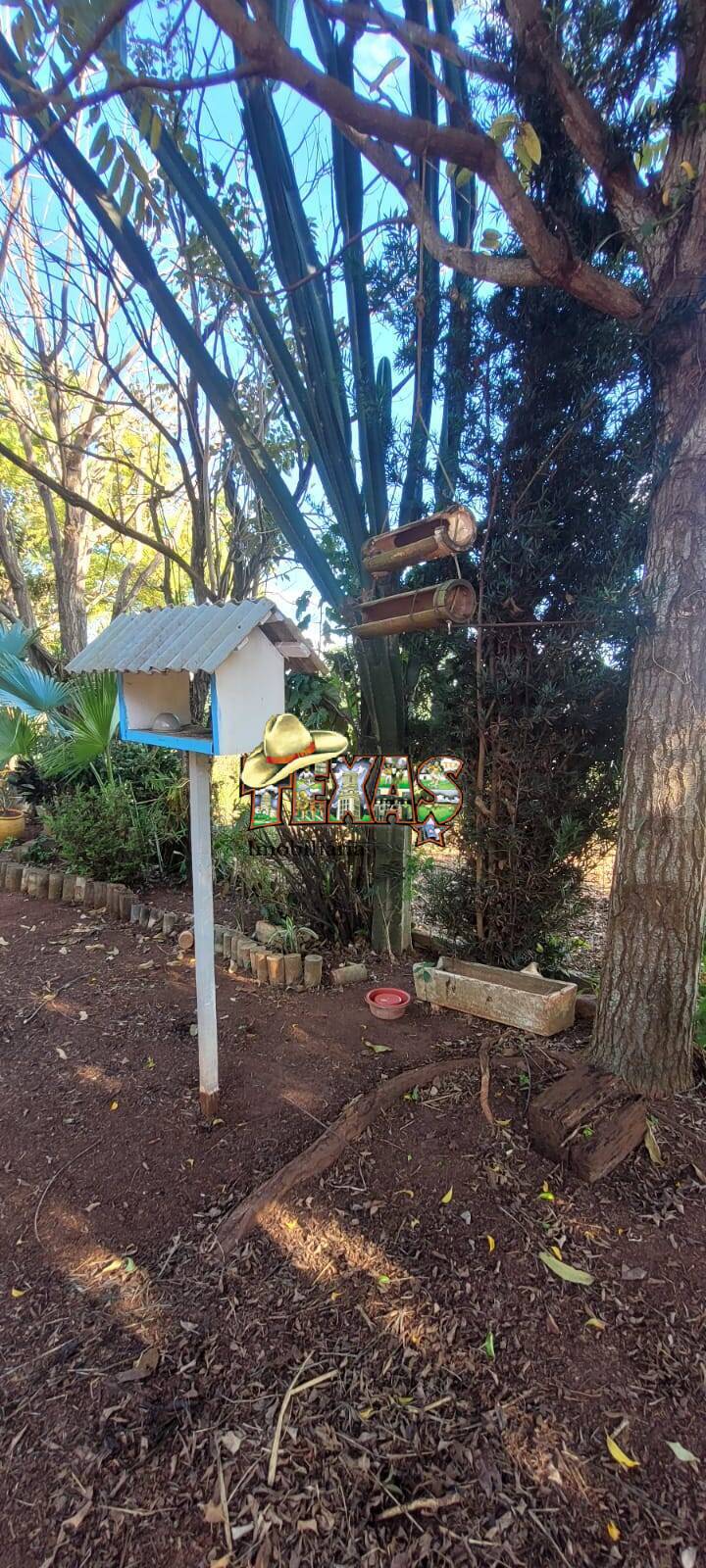 Terreno, 1000 m² - Foto 13