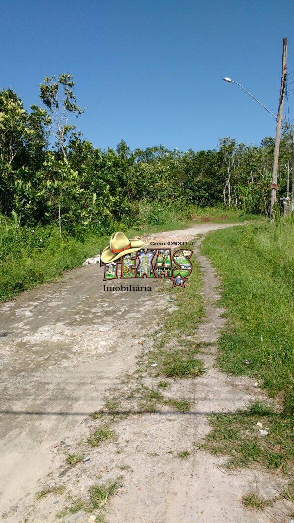 Terreno, 432 m² - Foto 2