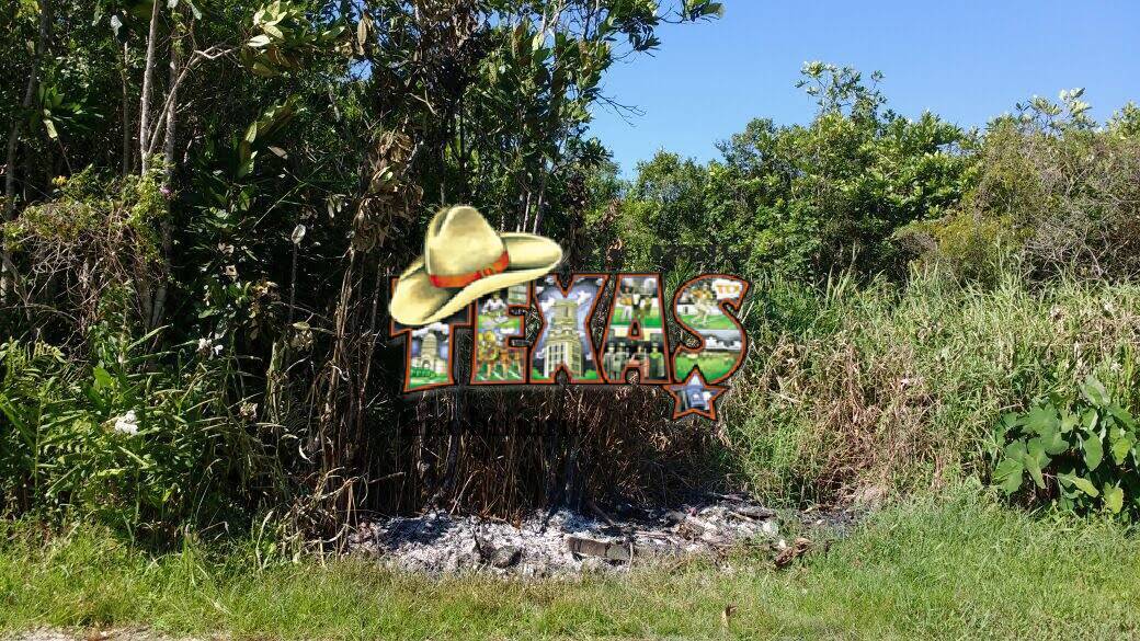 Terreno, 432 m² - Foto 5