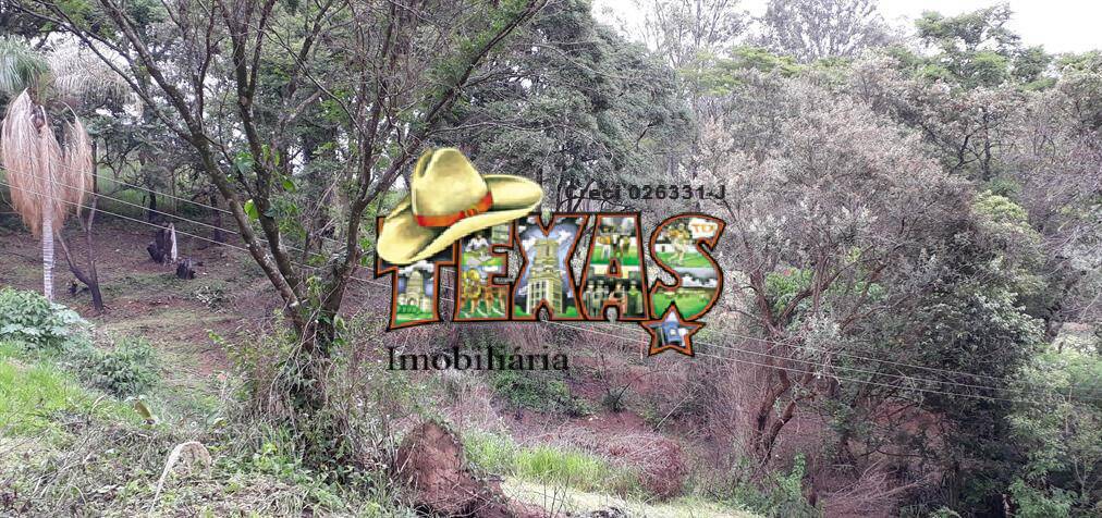 Terreno, 3 hectares - Foto 2