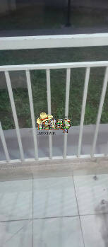 Apartamento, 2 quartos - Foto 5