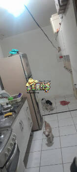 Apartamento, 2 quartos - Foto 2