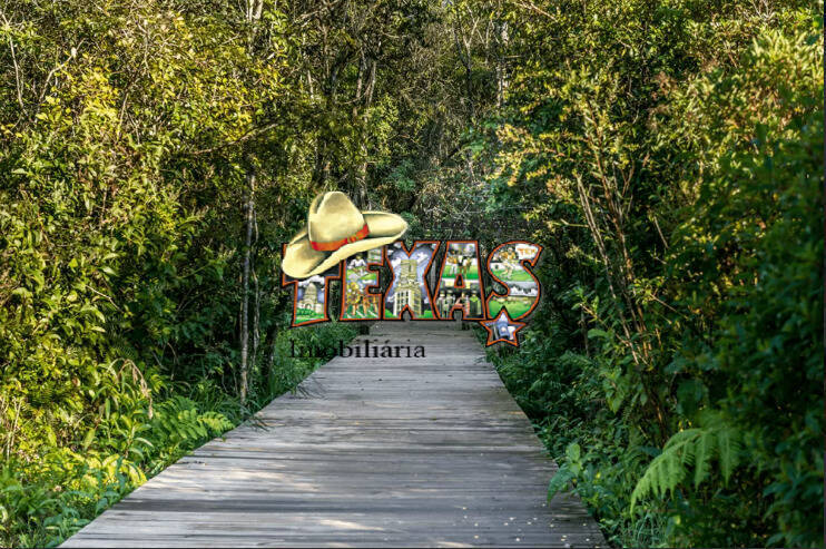 Terreno, 120 m² - Foto 10